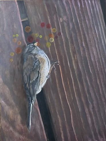 A bird knocked out on decking 
