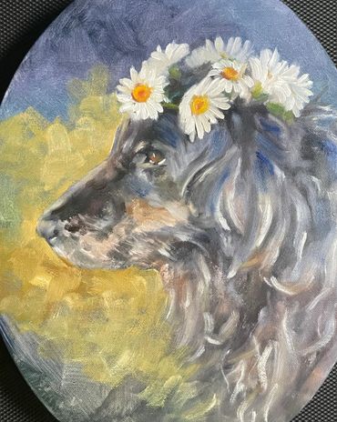 A retriever with daisies on his head.