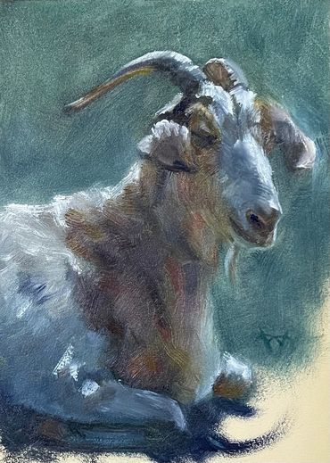 goat