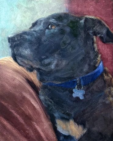 Black pit bull mix pondering life. Oil on panel