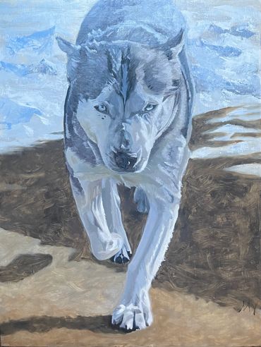 Winter. Painting of a husky running toward the viewer