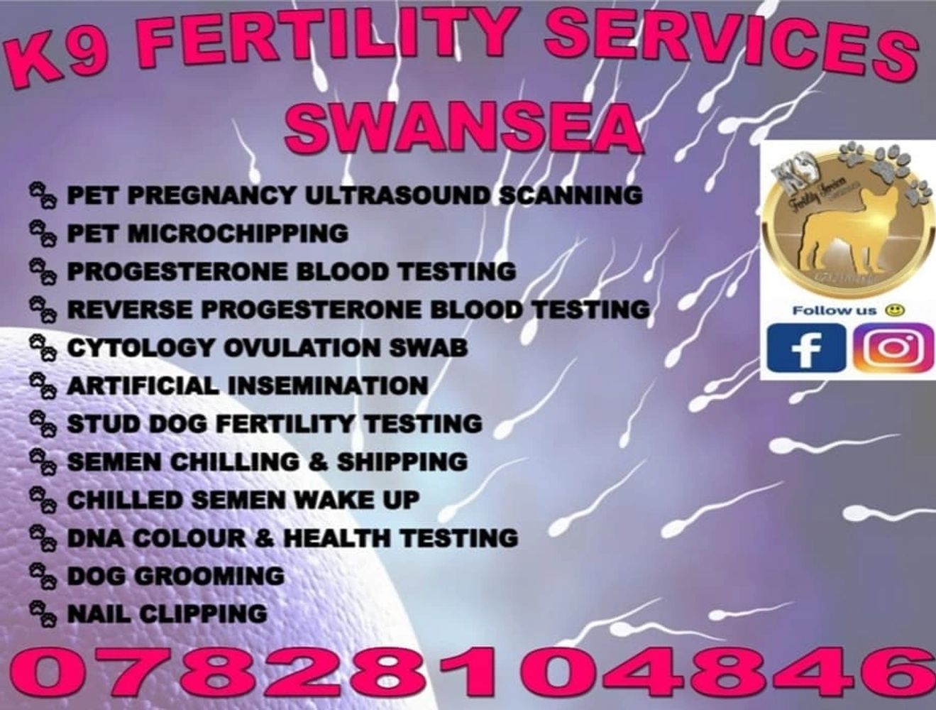 K9 fertility services Swansea, pet pregnancy scanning, progesterone blood testing, pet microchipping