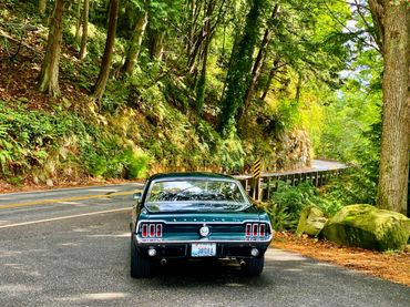 Gotta love green, especially when it's a vintage green Mustang Coupe