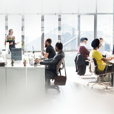 Full Rental Management in Mallorca