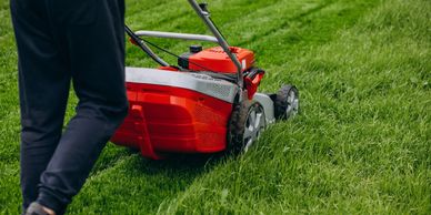 Maintenance & Pool/Garden Services 