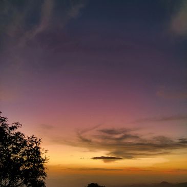 Colorful sunset sky with tree silhouette.