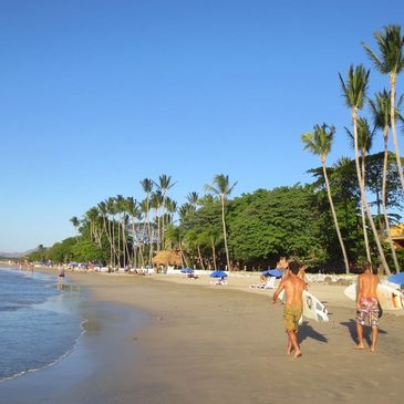 Two surfers walk along a tropical beach with palm trees.