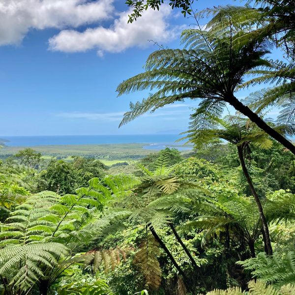 Mount Alexandra Lookout