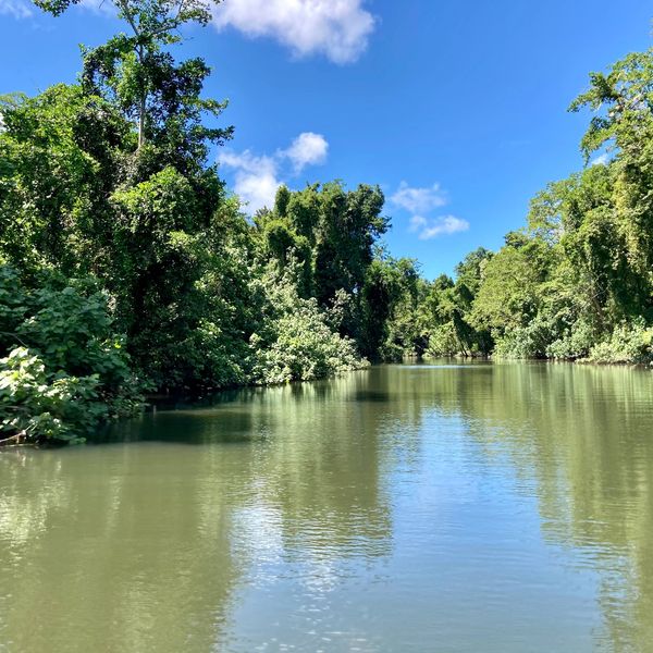 Bruce Belchers Daintree River Cruises