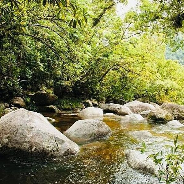 Mossman Gorge