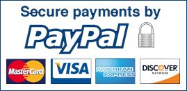 PayPal Payment 