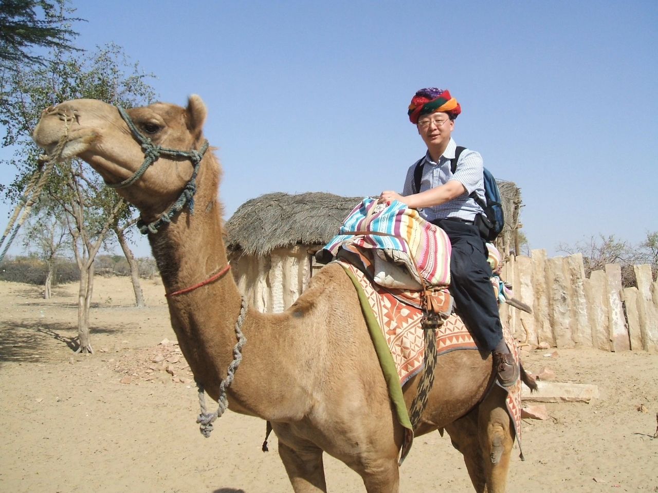 Liu Liu Enjoying A Camel Ride In India