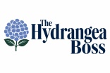 The Hydrangea Boss