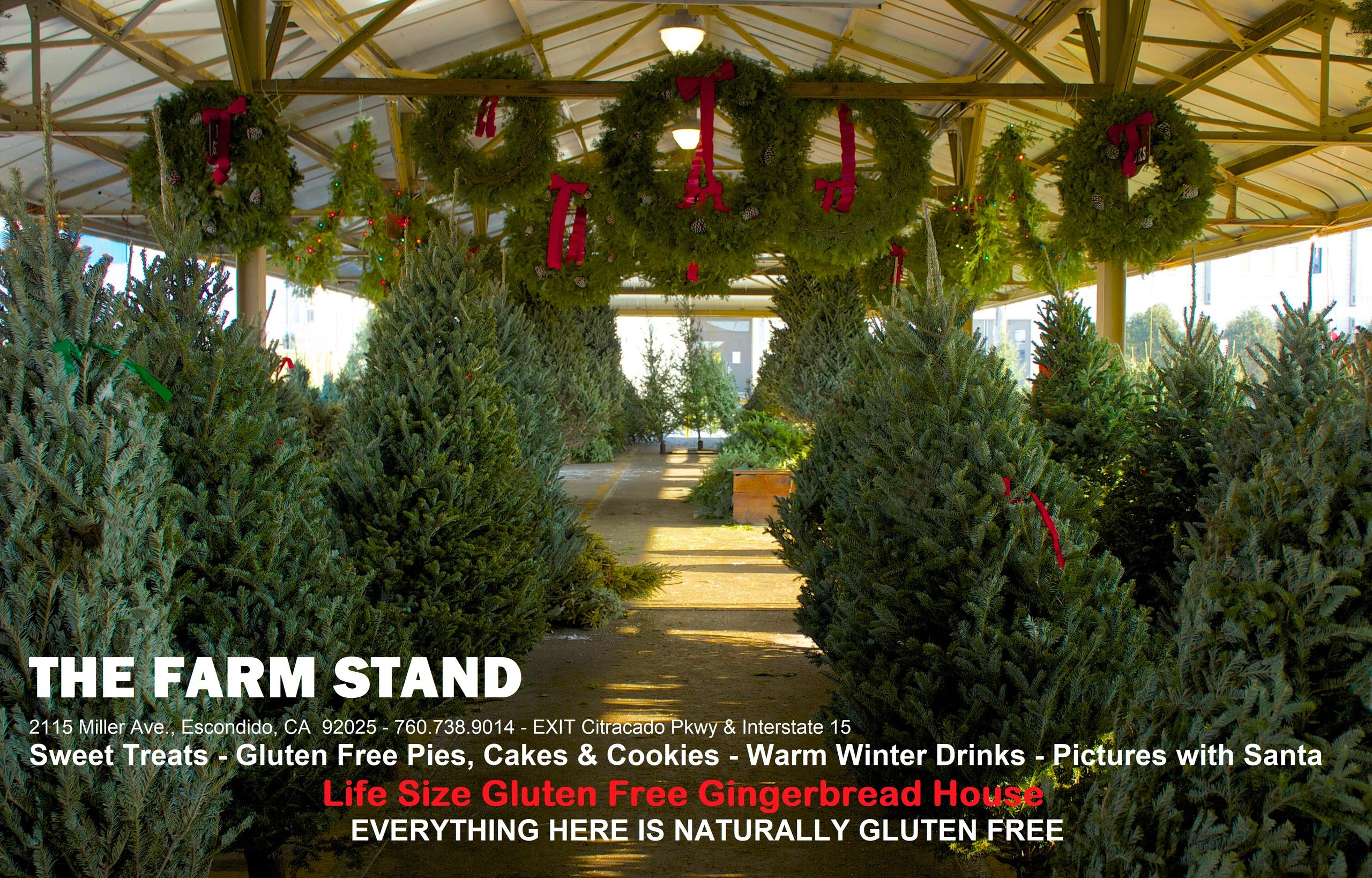 //img1.wsimg.com/isteam/ip/799d8898-86ba-4207-be9d-4a37b7806501/The%20Farm%20Stand%20Xmas%20Postcard%20front.jpg/:/cr=t:0%25,l:0%25,w:100%25,h:100%25/rs=w:1300,h:800