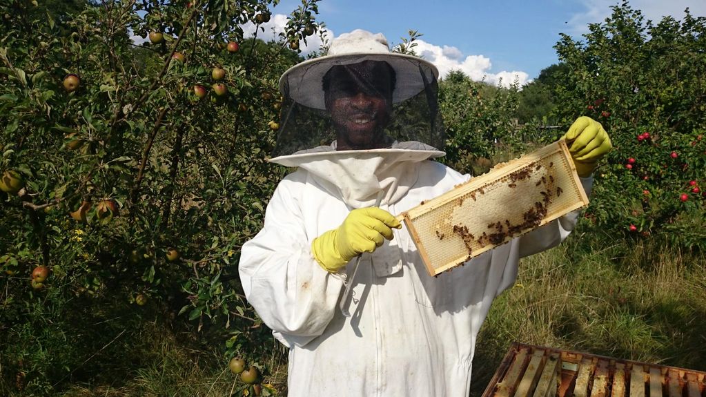 Bee the change