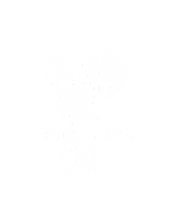 Plant Crazy Jeka