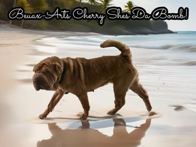Cherry is a Fat nose girl and i love her for it. Super friendly and loving and never met a stranger.