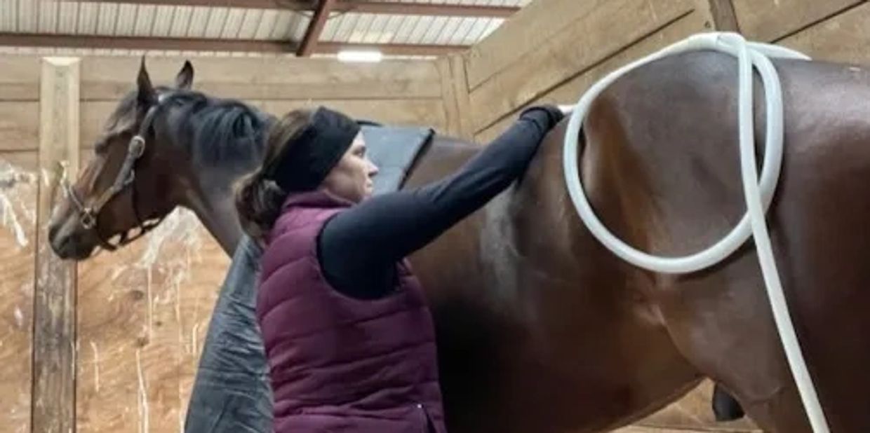 PEMF Therapy, Equine Massage