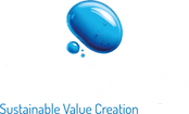 Blue Bridge Sustainable Value Creation