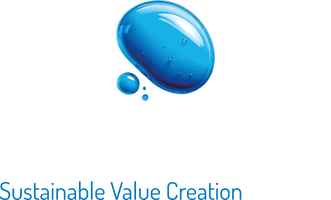 Blue Bridge Sustainable Value Creation