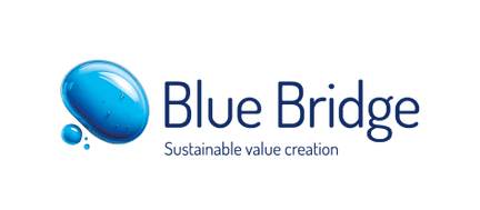 Blue Bridge Sustainable Value Creation