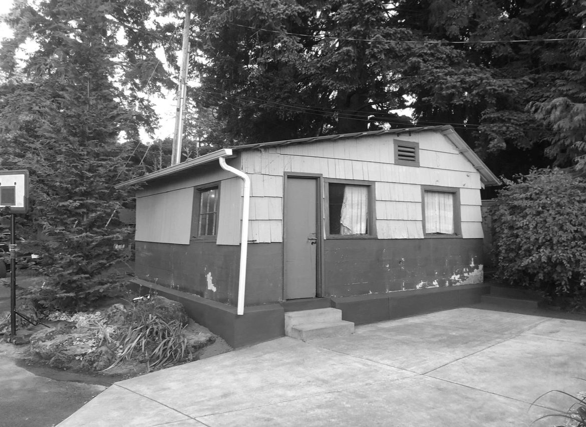 Small cozy cottage with a concrete entry, Surrounded by tall evergreens and greenery. 