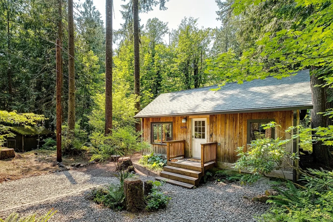 Cozy wood cabin surrounded by tall trees and greenery with a gravel path and small front porch.