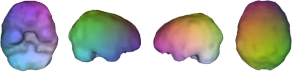 HEALTHY BRAIN IMAGE