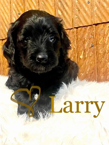 Larry has sold
