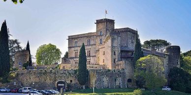 Historic stone castle surrounded by greenery under a clear sky.