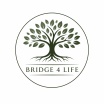 Bridge4life