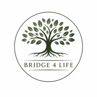Bridge4life