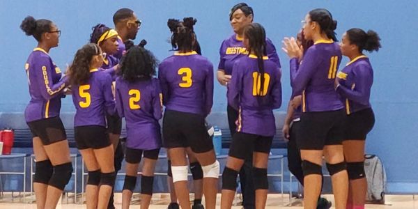 A volleyball team in purple and yellow uniforms huddles during a game.