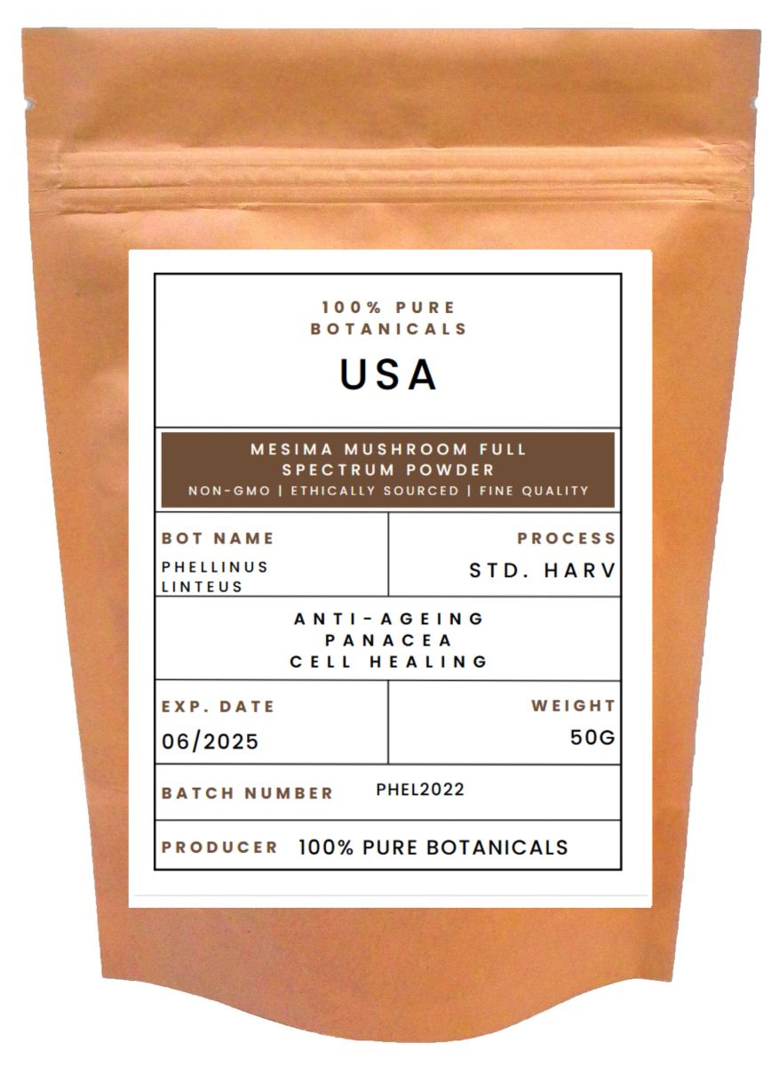 Full Spectrum Powder 100% PURE BOTANICALS® || PHELLINUS LINTEUS || MESIMA MUSHROOM FULL ...