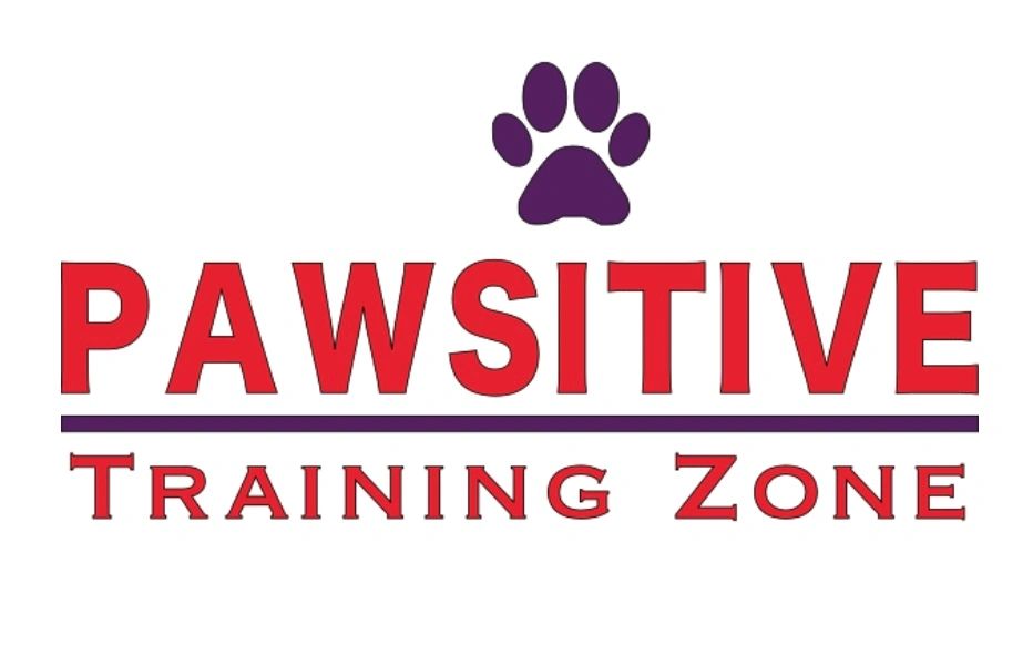 Nosework – Paws Plus Training