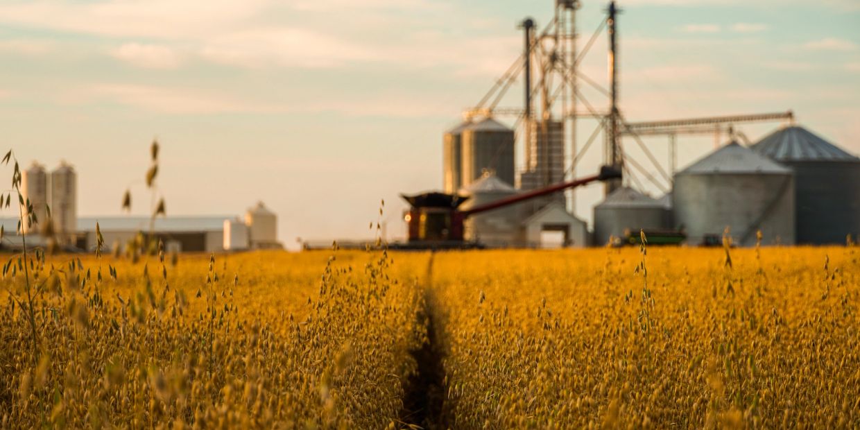Field of golden crops with grain silos and machinery in the background.