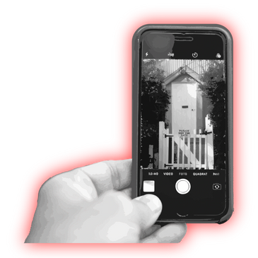 gate photo, yard cleanup, pet waste cleanup, pooper scooper, yard cleaning, dog waste, pet waste, 