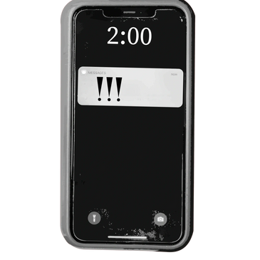 notification, pet waste removal, dog waste removal, pooper scooper, dutchess county, ulster county