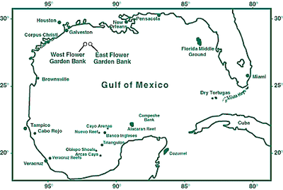 Dive Trips Copeland S Inc