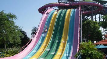 rapids Tassie's Twisters Tautuma Racer Walhalla Wave Family Kata’s Kookaburra Cove Shore Dolphin