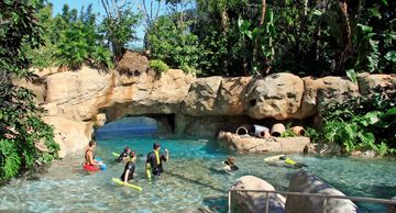 Discovery Cove Sea World's water park Dolphin Lagoon Freshwater Oasis Reef Shark Swim Seaventure