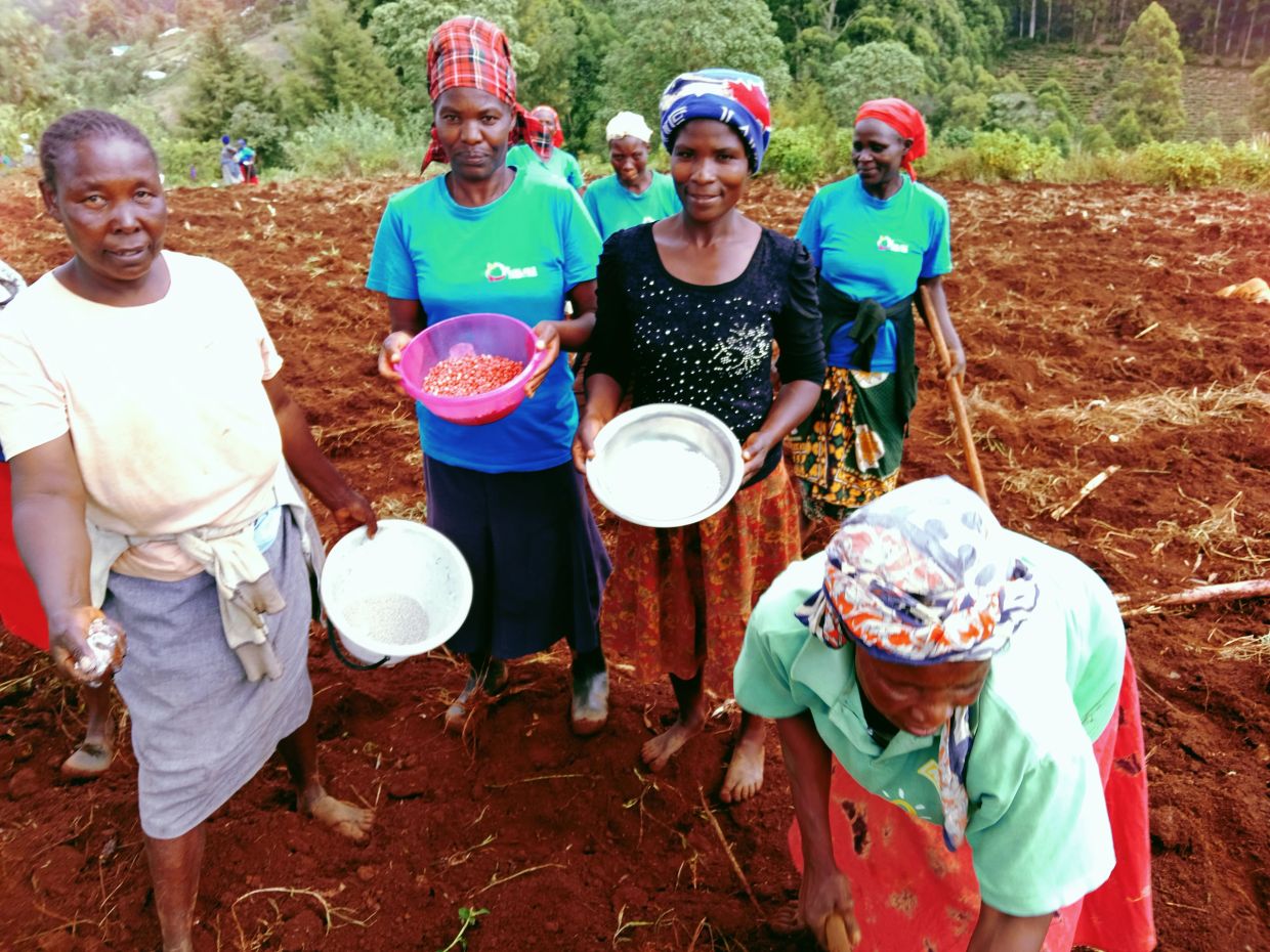 Women working together on a farm, holding seeds and tools in a rural setting.