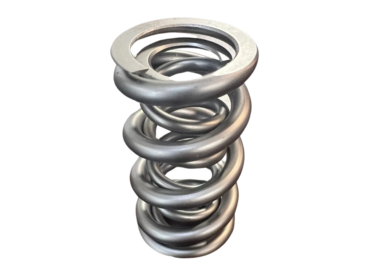 PAC Valve Springs (Set)