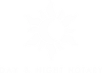 Day and Night Notary