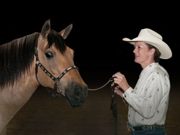 woman in western attire showing dun horse in a conformation class