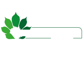 Chestnut Grove Rest Home Ltd