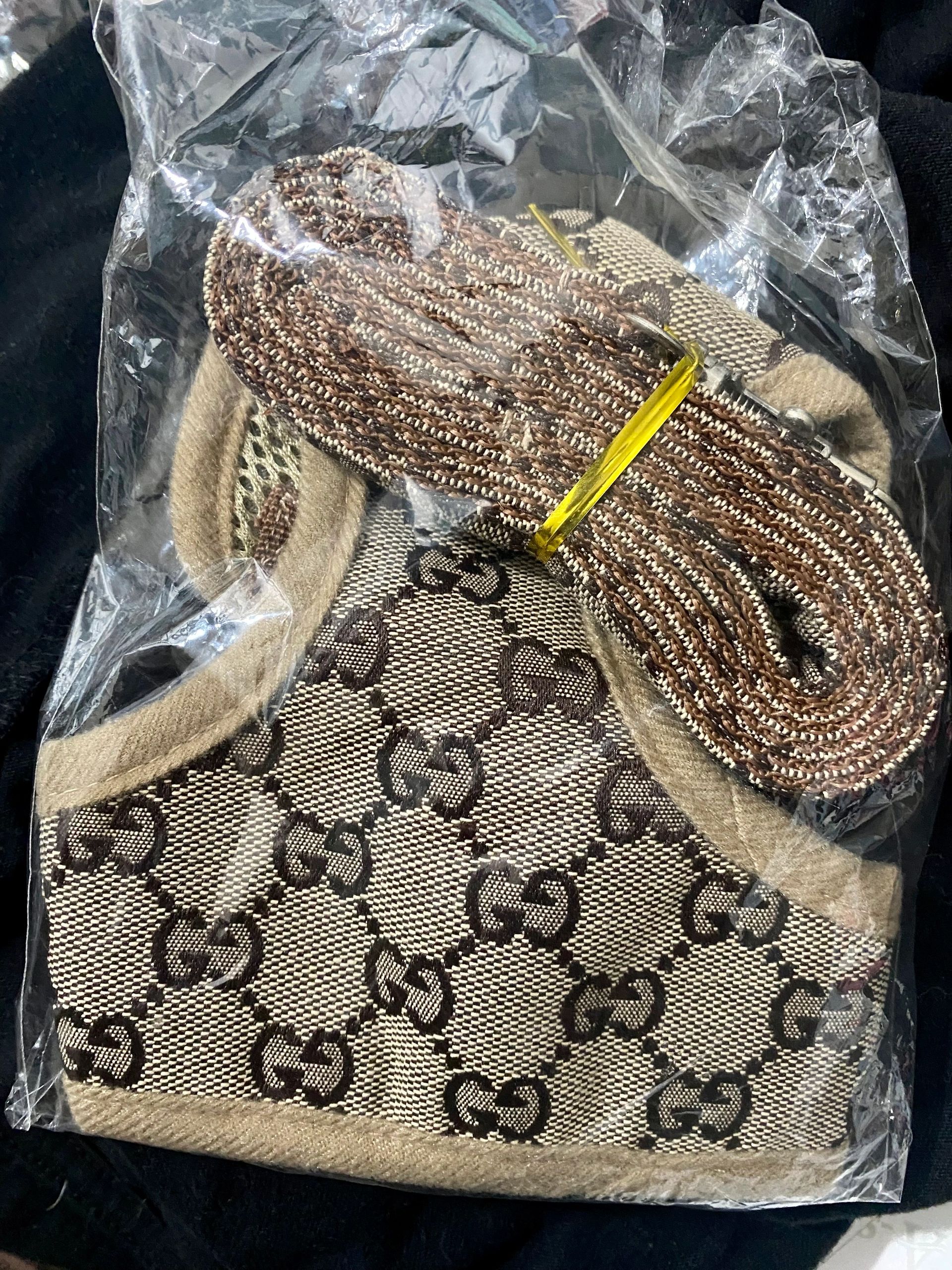 Fashion Leash & Harness- size medium