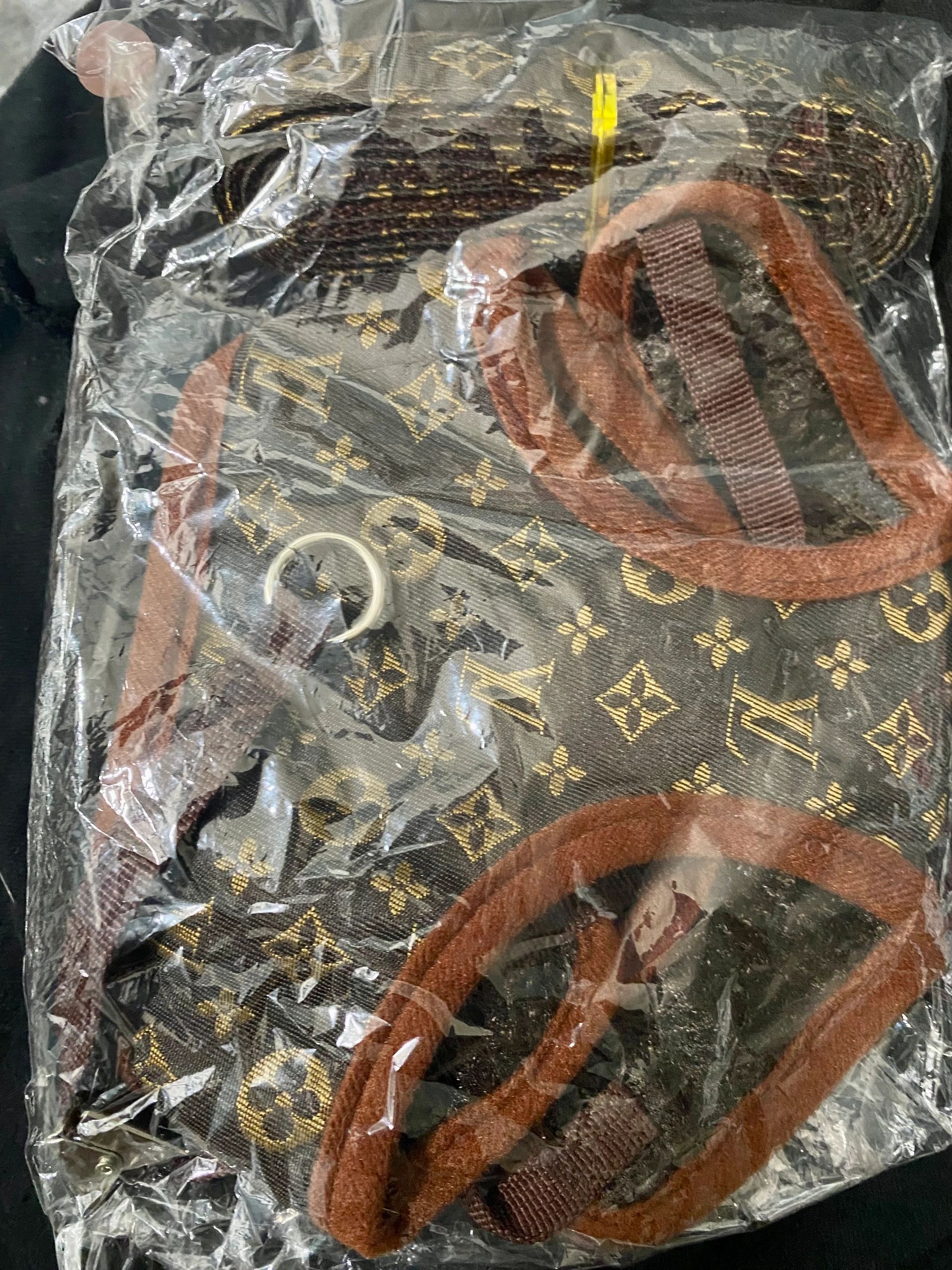 Fashion Leash & Harness- size large