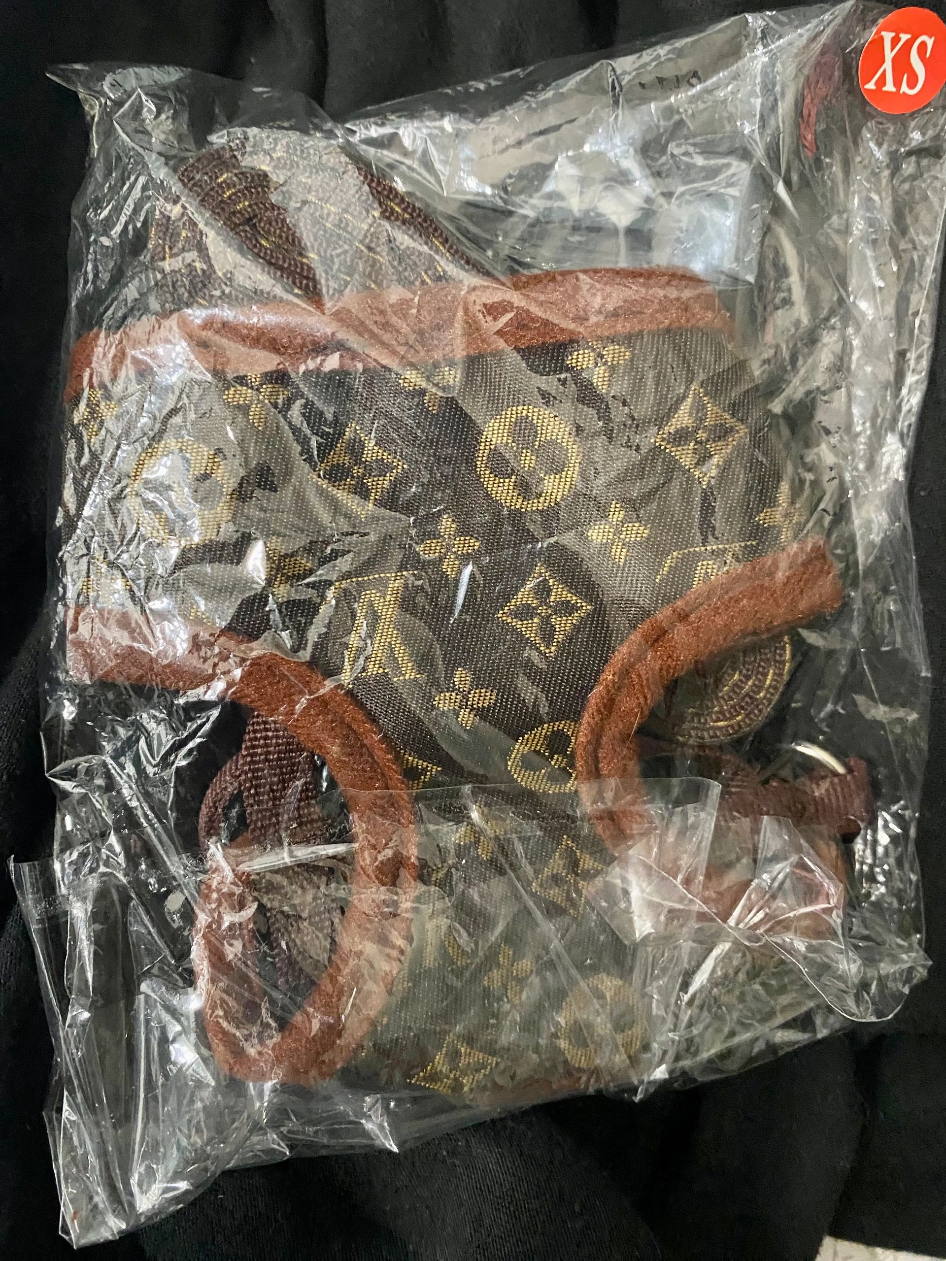 Fashion Leash & Harness- size xs