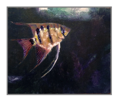 Tropical fish. Painting of a leopoldi angelfish against a subtle dark background